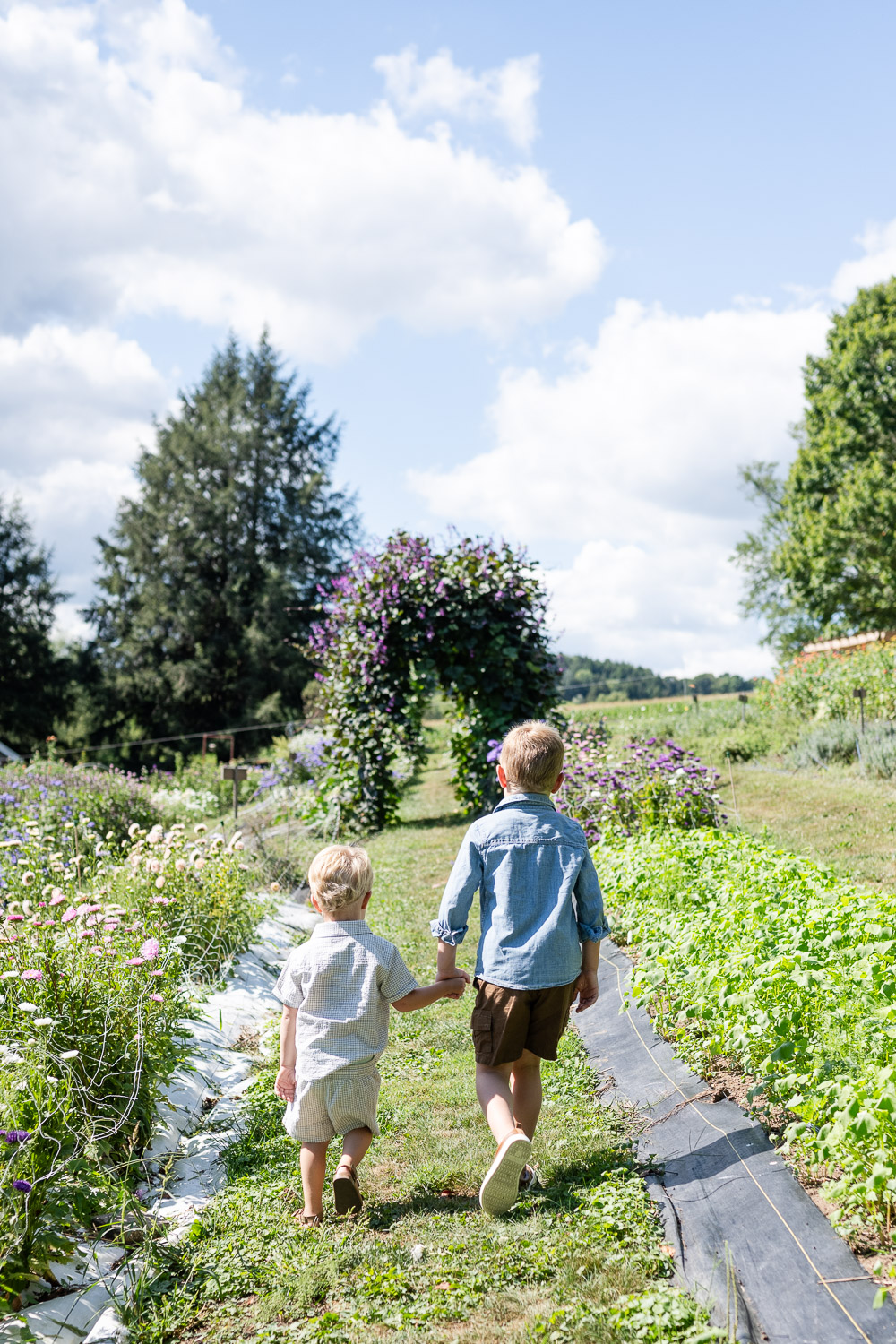 Archer's Acres family portrait session